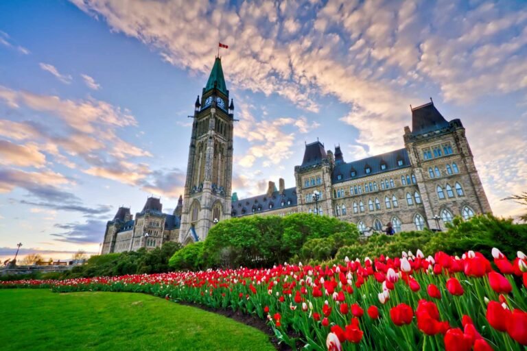 FDI’s Impact on Canadian Tech: A Look at Startup Dynamics