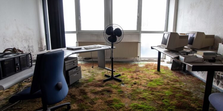 The Top Mistakes Canadian Startup Founders Make