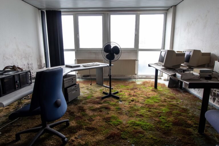The Top Mistakes Canadian Startup Founders Make