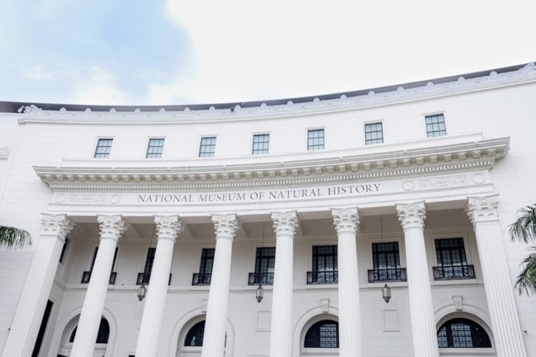 National AI Institutes Receive Major Funding and Talent Surge from New Strategy