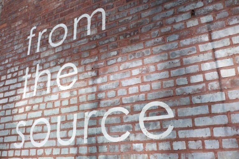 Open Source AI Surge: Anthropic Thrives Amidst Competitive Landscape